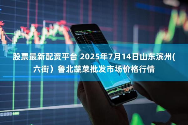 股票最新配资平台 2025年7月14日山东滨州(六街）鲁北蔬菜批发市场价格行情
