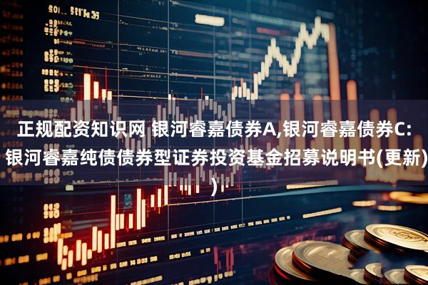 正规配资知识网 银河睿嘉债券A,银河睿嘉债券C: 银河睿嘉纯债债券型证券投资基金招募说明书(更新)
