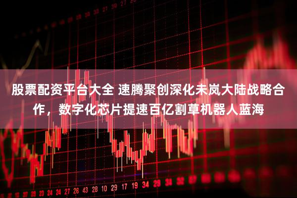 股票配资平台大全 速腾聚创深化未岚大陆战略合作，数字化芯片提速百亿割草机器人蓝海