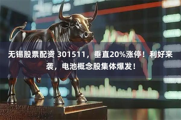无锡股票配资 301511，垂直20%涨停！利好来袭，电池概念股集体爆发！